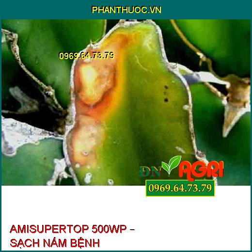 AMISUPERTOP 500WP – SẠCH NẤM BỆNH