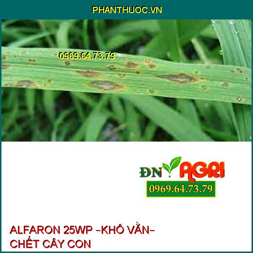 ALFARON 25WP –KHÔ VẰN– CHẾT CÂY CON