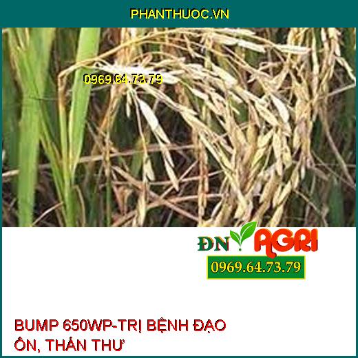 BUMP 650WP-TRỊ BỆNH ĐẠO ÔN, THÁN THƯ