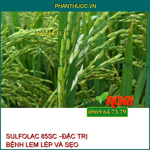 SULFOLAC 85SC –ĐẶC TRỊ BỆNH LEM LÉP VÀ SẸO