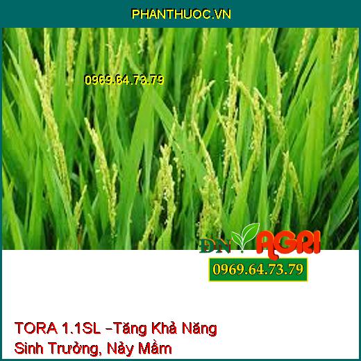 TORA 1.1SL –Tăng Khả Năng Sinh Trưởng, Nảy Mầm