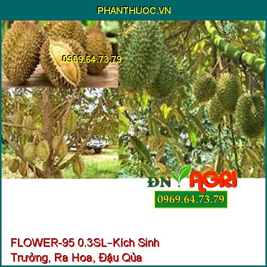 FLOWER-95 0.3SL–Kích Sinh Trưởng, Ra Hoa, Đậu Qủa