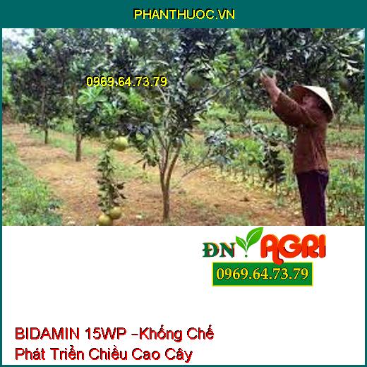 BIDAMIN 15WP –Khống Chế Phát Triển Chiều Cao Cây