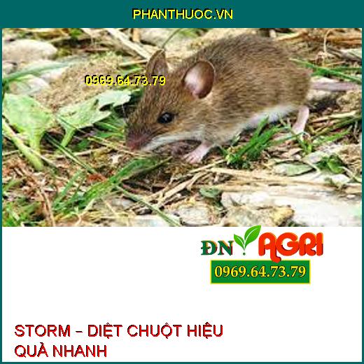 STORM – DIỆT CHUỘT HIỆU QUẢ NHANH