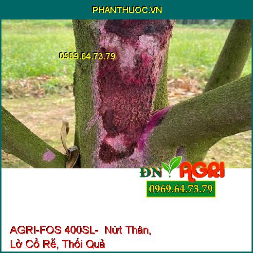 AGRI-FOS 400SL- Nứt Thân, Lở Cổ Rễ, Thối Quả