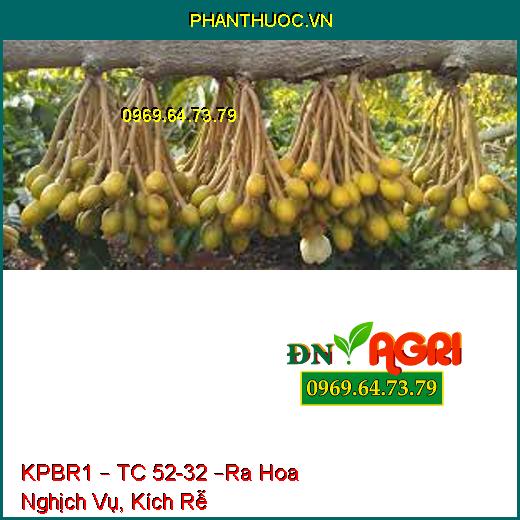 KPBR1 – TC 52-32 –Ra Hoa Nghịch Vụ, Kích Rễ