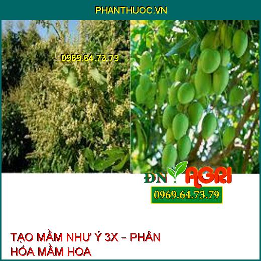 TẠO MẦM NHƯ Ý 3X – PHÂN HÓA MẦM HOA