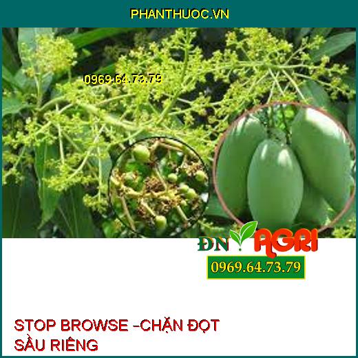 STOP BROWSE –CHẶN ĐỌT SẦU RIÊNG