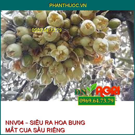 NNV04 – SIÊU RA HOA BUNG MẮT CUA SẦU RIÊNG