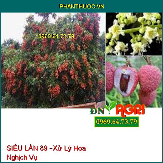 SIÊU LÂN 89 –Xử Lý Hoa Nghịch Vụ