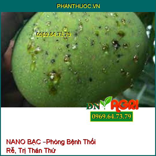 NANO BẠC –Phòng Bệnh Thối Rễ, Trị Thán Thứ