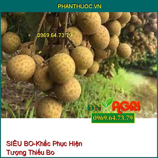 SIÊU BO-Khắc Phục Hiện Tượng Thiếu Bo