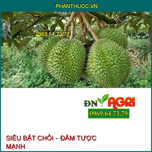 SIÊU BẬT CHỒI – ĐÂM TƯỢC MẠNH