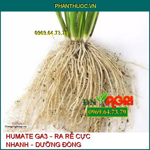 HUMATE GA3 – RA RỄ CỰC NHANH – DƯỠNG ĐÒNG