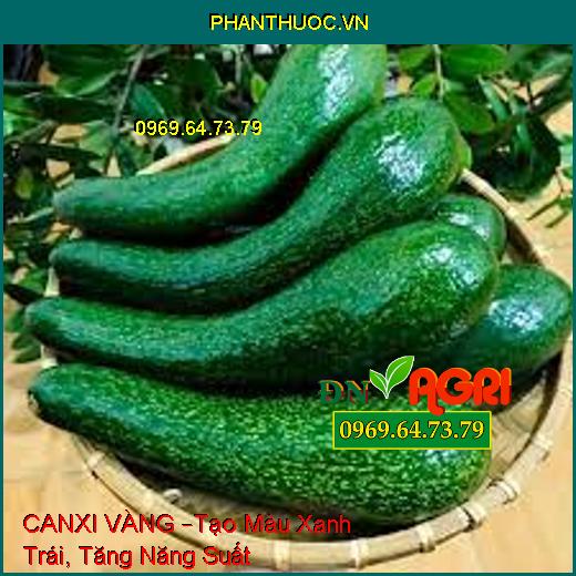 CANXI VÀNG –Tạo Màu Xanh Trái, Tăng Năng Suất