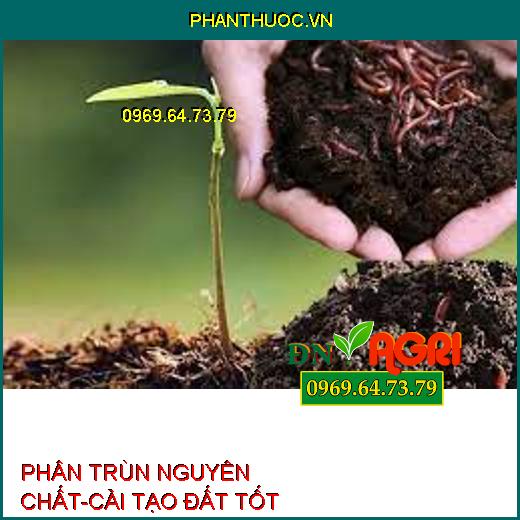 PHÂN TRÙN NGUYÊN CHẤT-CẢI TẠO ĐẤT TỐT