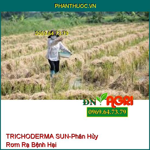 TRICHODERMA SUN-Phân Hủy Rơm Rạ Bệnh Hại