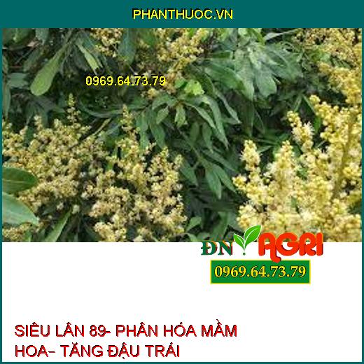 SIÊU LÂN 89- PHÂN HÓA MẦM HOA– TĂNG ĐẬU TRÁI