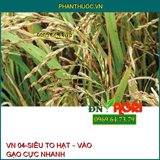 VN 04-SIÊU TO HẠT – VÀO GẠO CỰC NHANH