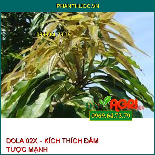 DOLA 02X – KÍCH THÍCH ĐÂM TƯỢC MẠNH