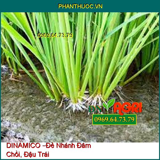 DINAMICO –Đẻ Nhánh Đâm Chồi, Đậu Trái