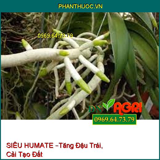 SIÊU HUMATE –Tăng Đậu Trái, Cải Tạo Đất