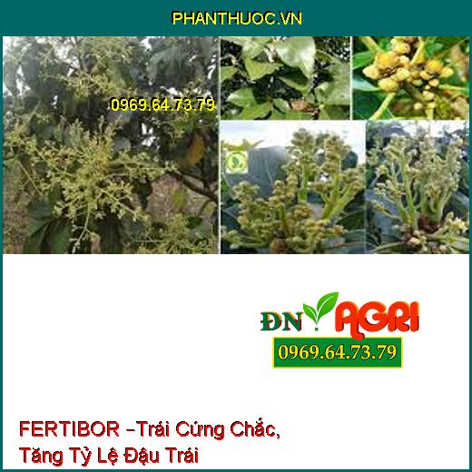 FERTIBOR –Trái Cứng Chắc, Tăng Tỷ Lệ Đậu Trái