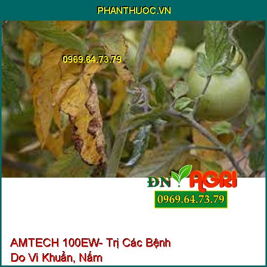 AMTECH 100EW- Đặc Trị Các Bệnh Do Vi Khuẩn, Nấm