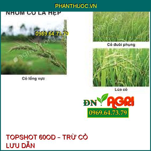 TOPSHOT 60OD – TRỪ CỎ LƯU DẪN