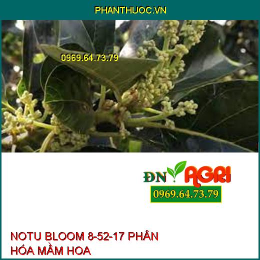 NOTU BLOOM 8-52-17 PHÂN HÓA MẦM HOA