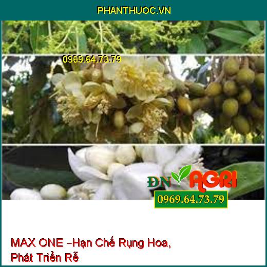 MAX ONE –Hạn Chế Rụng Hoa, Phát Triển Rễ