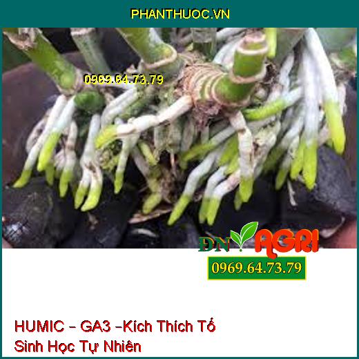 HUMIC – GA3 –Kích Thích Tố Sinh Học Tự Nhiên