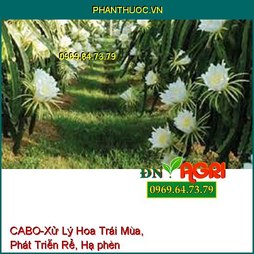 CABO-Xử Lý Hoa Trái Mùa, Phát Triễn Rể, Hạ phèn