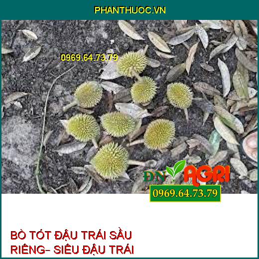 BÒ TÓT ĐẬU TRÁI SẦU RIÊNG– SIÊU ĐẬU TRÁI