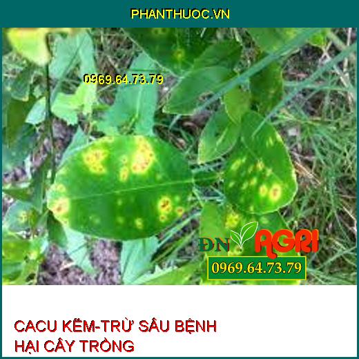 CACU KẼM-TRỪ SÂU BỆNH HẠI CÂY TRỒNG