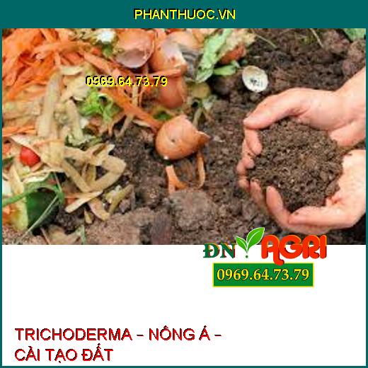 TRICHODERMA – NÔNG Á – CẢI TẠO ĐẤT 