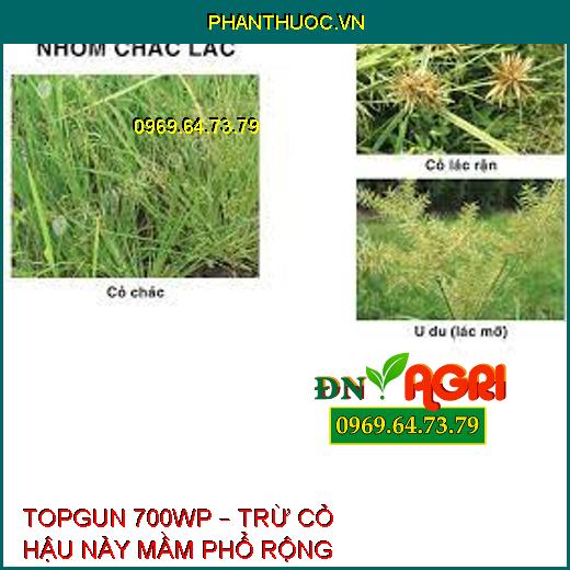 TOPGUN 700WP – TRỪ CỎ HẬU NẢY MẦM PHỔ RỘNG