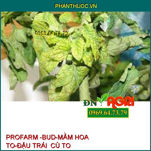 PROFARM -BUD-MẦM HOA TO-ĐẬU TRÁI CỦ TO