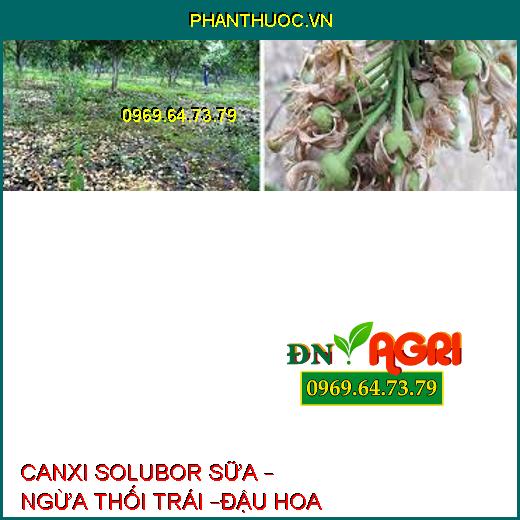 CANXI SOLUBOR SỮA – NGỪA THỐI TRÁI –ĐẬU HOA