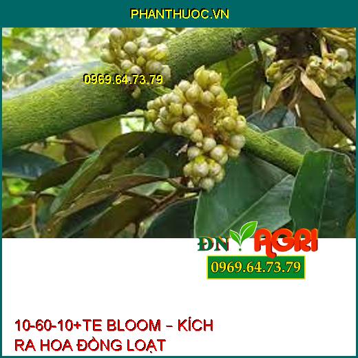 10-60-10+TE BLOOM – KÍCH RA HOA ĐỒNG LOẠT