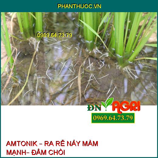 AMTONIK – RA RỄ NẨY MẦM MẠNH– ĐÂM CHỒI