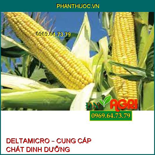 DELTAMICRO – CUNG CẤP CHẤT DINH DƯỠNG