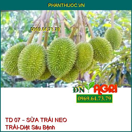 TD 07 – SỬA TRÁI NEO TRÁI-Diệt Sâu Bệnh