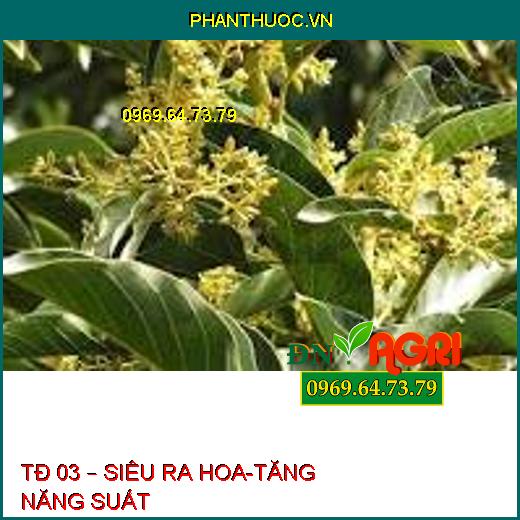 TĐ 03 – SIÊU RA HOA-TĂNG NĂNG SUẤT