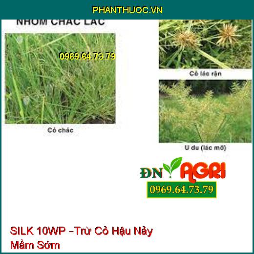 SILK 10WP –Trừ Cỏ Hậu Nảy Mầm Sớm