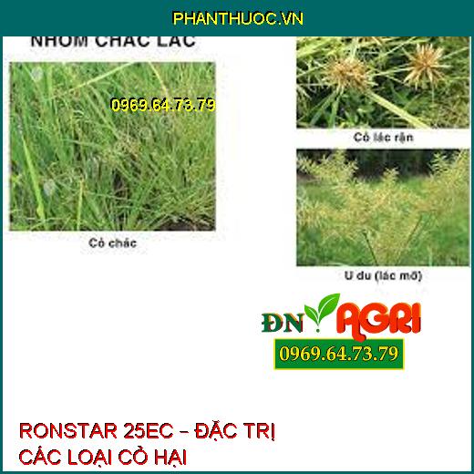 RONSTAR 25EC – ĐẶC TRỊ CÁC LOẠI CỎ HẠI