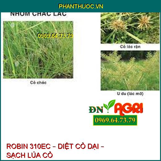 ROBIN 310EC – DIỆT CỎ DẠI – SẠCH LÚA CỎ