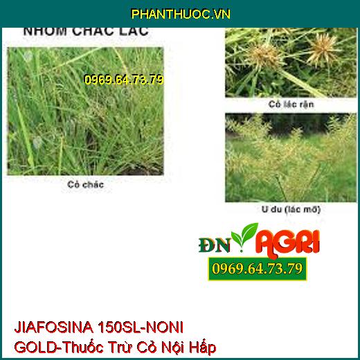 JIAFOSINA 150SL-NONI GOLD-Thuốc Trừ Cỏ Nội Hấp