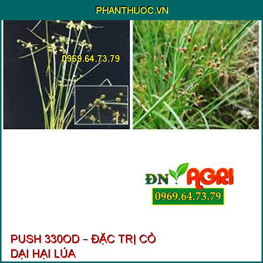 PUSH 330OD – ĐẶC TRỊ CỎ DẠI HẠI LÚA