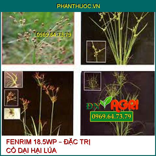 FENRIM 18.5WP – ĐẶC TRỊ CỎ DẠI HẠI LÚA